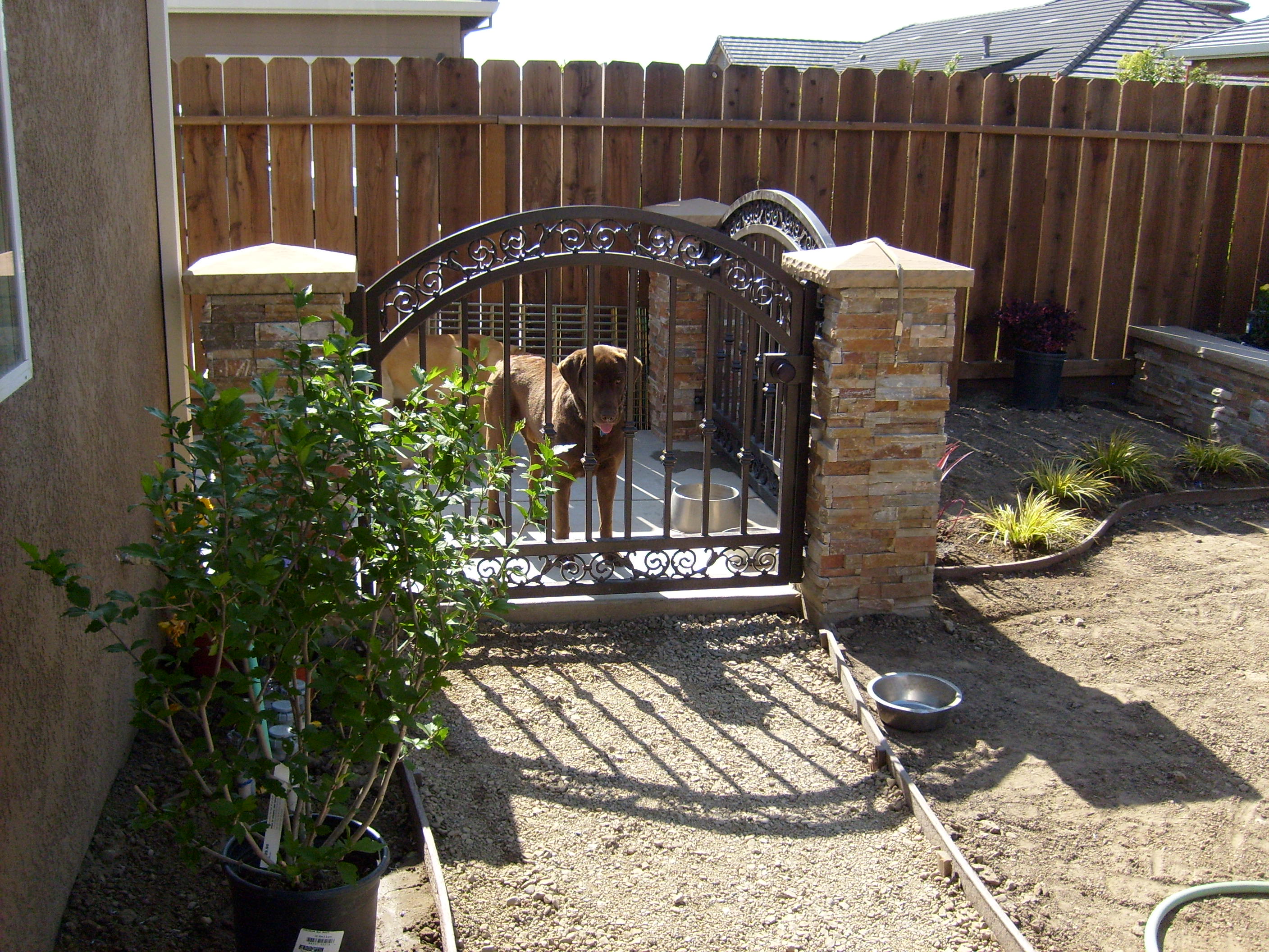  dog run Ripon, CA 