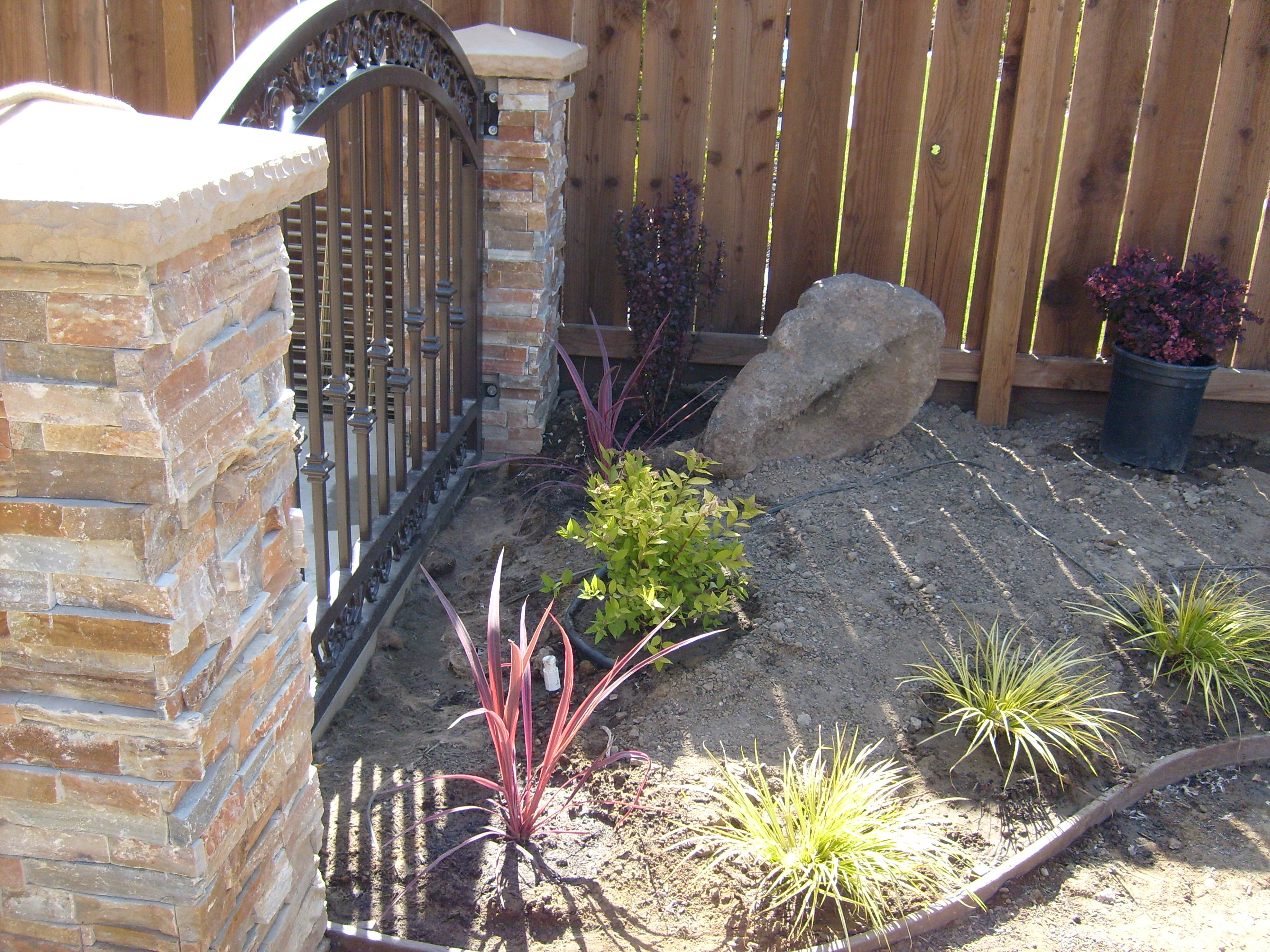  planters Ripon, CA 