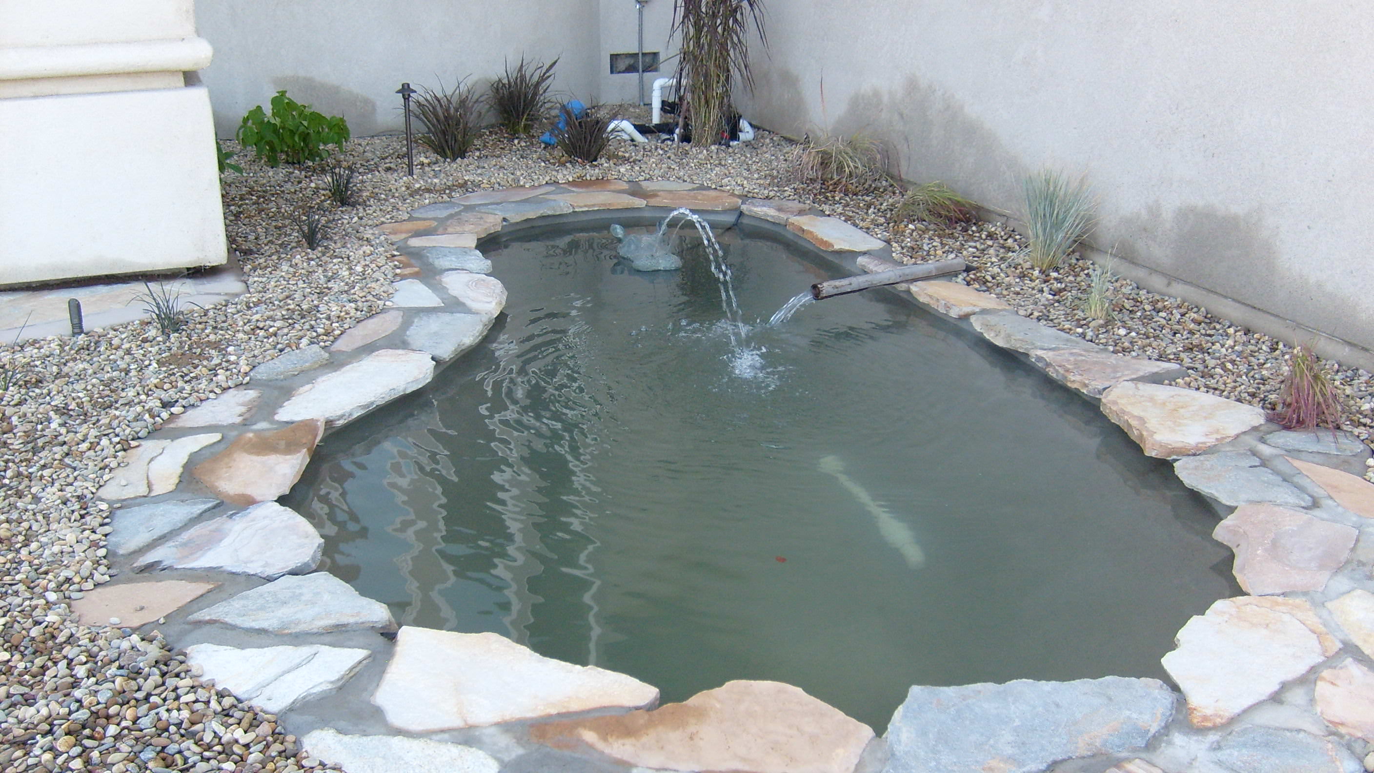   Irrigation, mini water pond, sod, plants, pillars and concrete Modesto, CA 