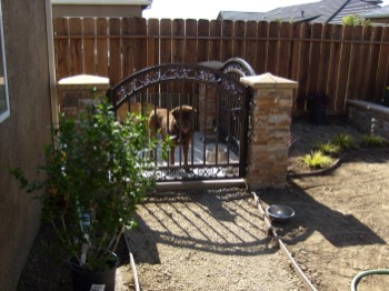  dog run Ripon, CA 