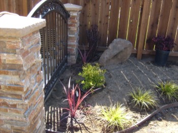  planters Ripon, CA 